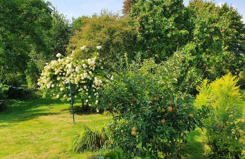 Ferienwohnung Gartenblick - Idylle am Travetal - Foto 12