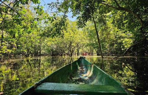 Premium Amazon Jungle Lodge - Foto 12