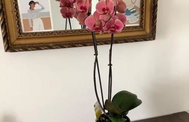 Carnac grand appartement cosy 2 personnes - Foto 13