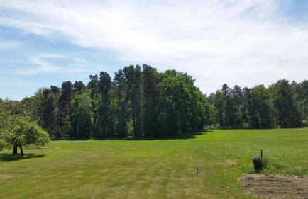 Ferienwohnung "Am Weinberg" - Foto 6