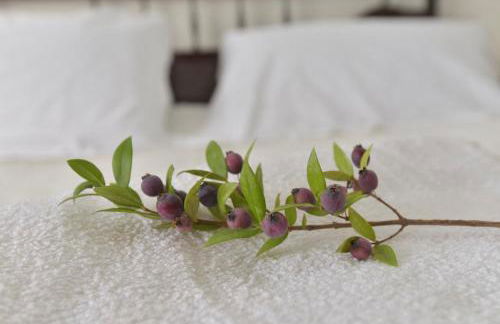 Villa Isola Bella - Vintage - Foto 25