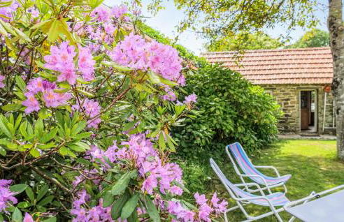 Gorgeous Home In Quettehou With Wifi - Foto 9