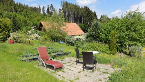 ruhiges Wohnen am Lama und Maine Coon Hof in Alleinlage in Biederbach 3 Zimmer mit Kochgelegenheit Bad - Foto 2, Garden, sunbed, Garden view