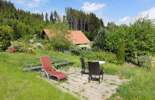 ruhiges Wohnen am Lama und Maine Coon Hof in Alleinlage in Biederbach 3 Zimmer mit Kochgelegenheit Bad - Foto 2