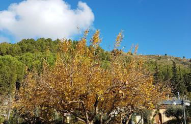 Agriturismo Il Drago - Foto 16