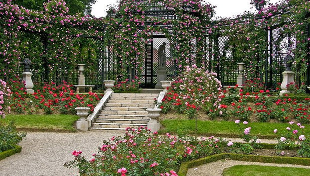 "Nice Panorama : à la découverte de son patrimoine" - Tour à terre au départ de Cannes - Photo 5