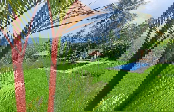 Bali De Pardis Cottage - Foto 40