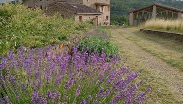 Podere Biricocolo - Il Cortile - Foto 4