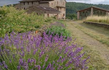 Podere Biricocolo - Il Cortile - Foto 4