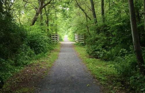 Walk To Parks, Dining & Lake! Game Room! Hot Tub! - Foto 40