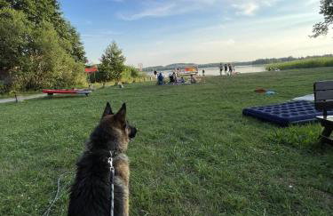 Świerkowe Ranczo Raciszewo - Foto 17