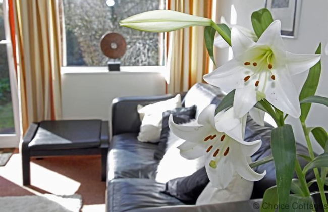 Croyde Moorlea 2 Bedrooms - Photo 7