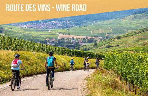 CathyVoyages - Ciel étoilé - Bord de Mer - Parking gratuit - Vidéoprojecteur - Lit rond - La Paillote Strasbourgeoise - Photo 55