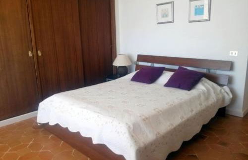 marazul del sur - Foto 28