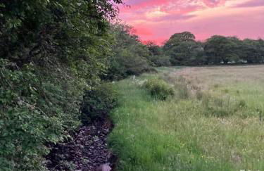 Migdale Pods Luxury Glamping - Foto 6