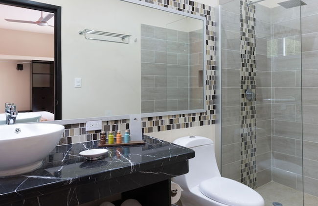 Meso Maya - Photo 46