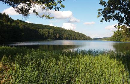 Dom Wakacyjny Kuszewo - Foto 30