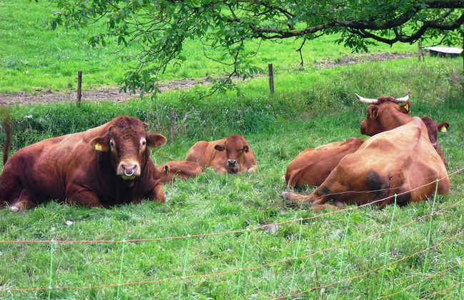 Comfortable Holiday Home in a Beautiful Location - Photo 46