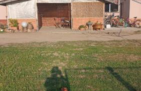 Stajnia nad Rozlewiskiem - agroturystyka Barcice gmina Somianka - Foto 6