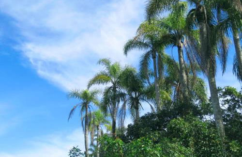 Pousada Águas de Ibiraquera Suite Master - Foto 31