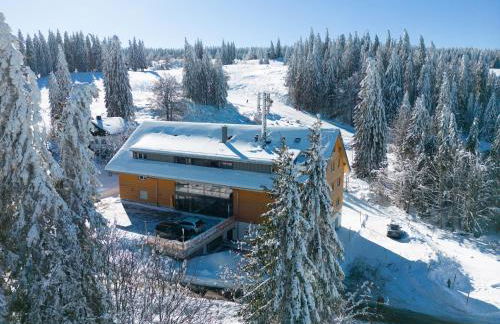 Stube9 am Feldberg, direkt an der Skipiste, Ski in-Ski out - Photo 41