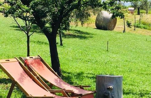 La Collina Degli Ulivi - Foto 38