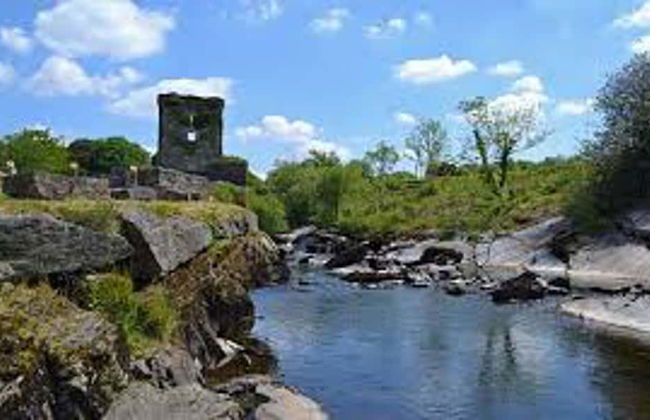 Lisheens Lodge - Foto 8