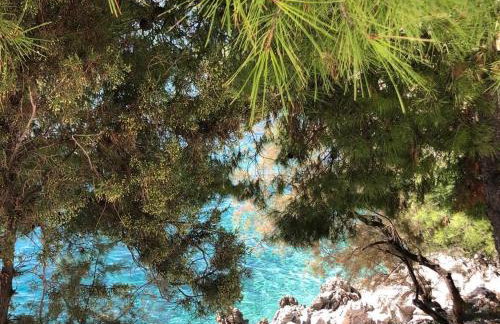 Villa Dani Sea & Pool Apartments - Foto 65