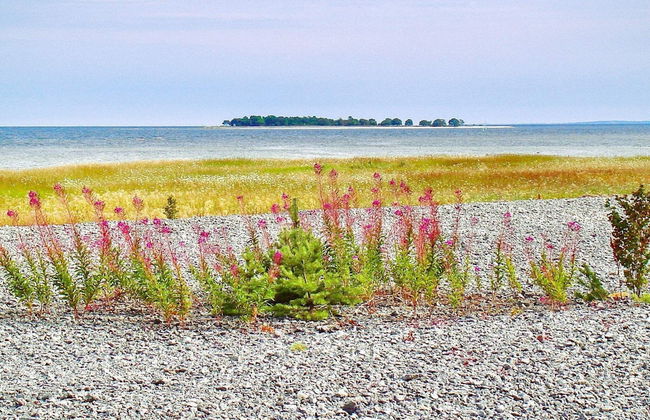 5 Person Holiday Home in Romakloster-by Traum - Foto 20