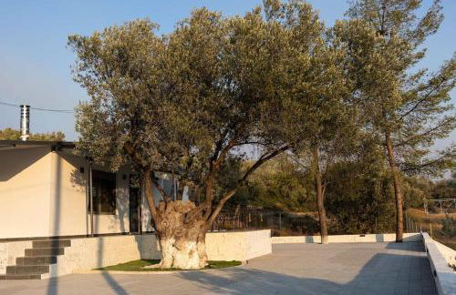 Domus Villa - Foto 42