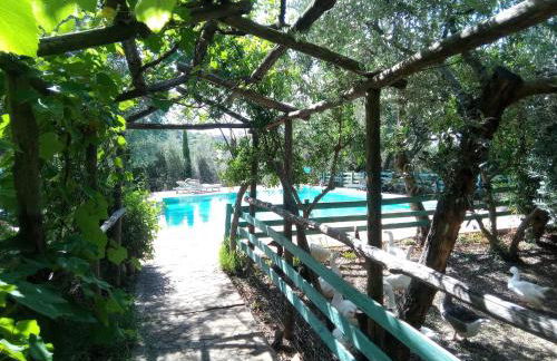 Deliziosa casa sull albero a 30 minuti da Roma - Foto 25