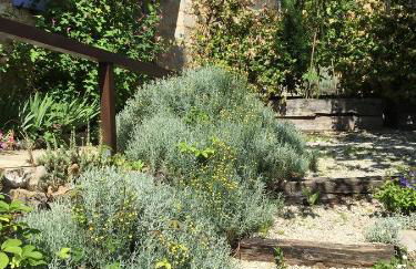 Gîtes Oasis du Lot - Foto 21