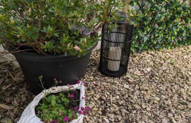 Coastal penarth dream! Close to Cardiff superb location near bars and restaurants! Dog friendly and welcome breakfast pack! - Foto 44