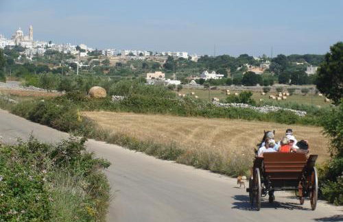Trulli il Castagno - Foto 90