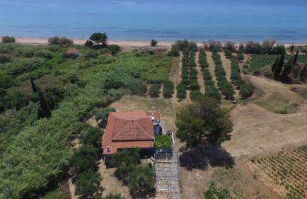 Margarita House - Photo 60