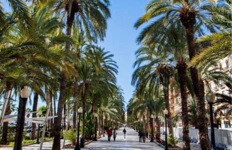 MAGIC APARTAMENT - ALICANTE - Photo 30