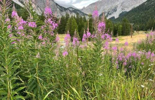 AU PIED DES PISTES D'ARVIEUX - Foto 33