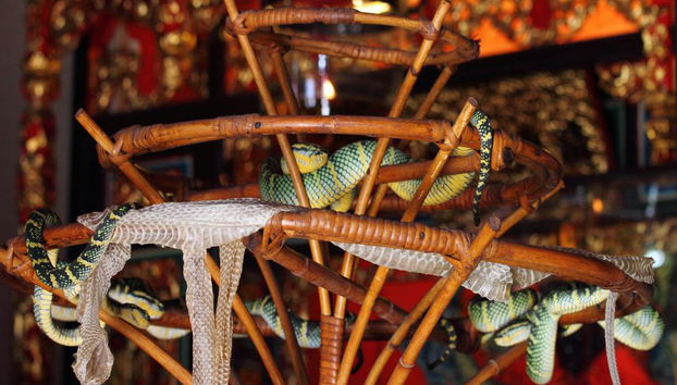 Escursione privata di mezza giornata intorno all'isola - Foto 2