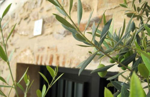 La Casina de Piedra ENCANTO - Parte Antigua de Cáceres - Foto 38