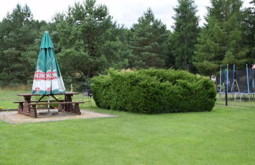 Agroturystyka RANCZO na Mazurach - Foto 57