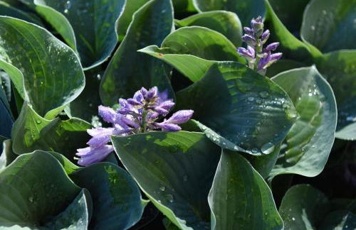 Agritur Maso Chemela - Foto 50