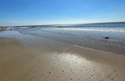 St Hilda Beach Hut Alnmouth - Foto 31