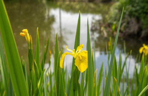 East Green Farm Cottage - Studio Barn - Aldeburgh Coastal Cottages - Foto 26