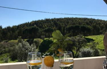 Monte do Pereiro - Foto 67