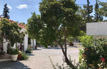 White Oasis Samos-Retreat - Foto 29