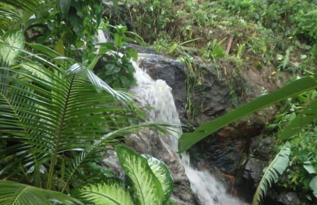 Eden Resort - Photo 30