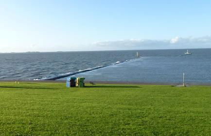 Atlanta Pur - Foto 14