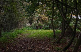 The Cabin - Luxury Country Living - Foto 31