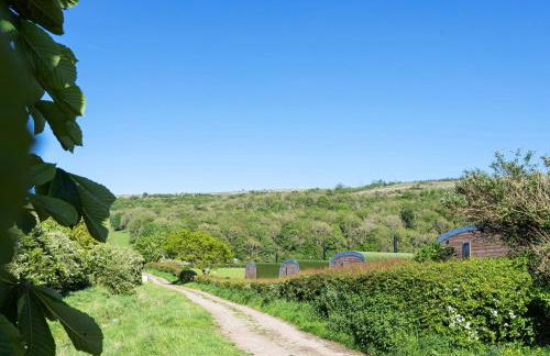 Longlands Farm Cottage - Foto 70