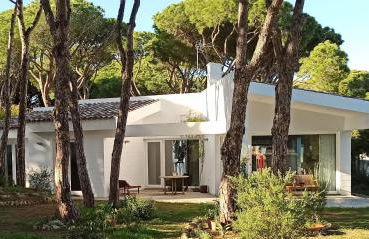 Diseño y luz entre los pinos - Foto 69